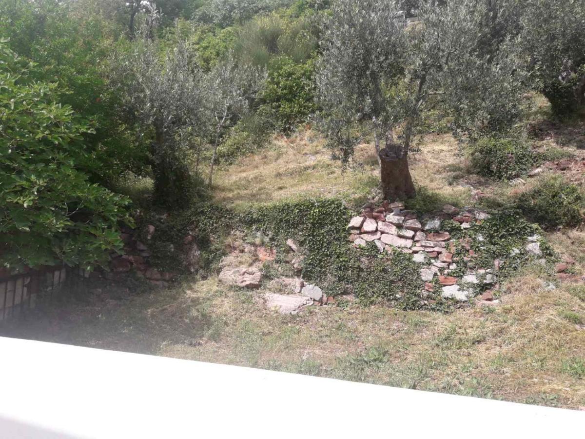 Vila Horizont Sveti Stefan Kültér fotó